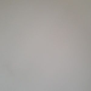 Meet your Posher, Shawn